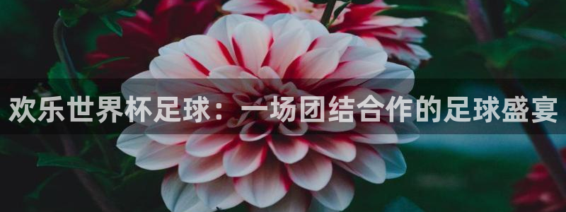 2026世预赛全部赛程:欢乐世界杯足球:一场团结合作的足球盛宴