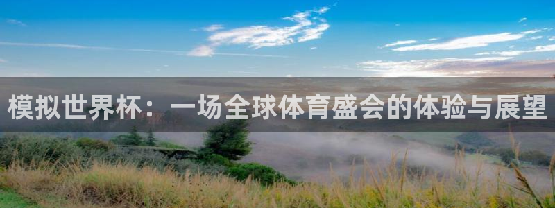男足世界杯预选赛赛程:模拟世界杯:一场全球体育盛会的体验与展望