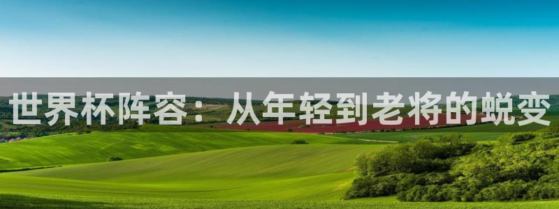 2026世预赛全部赛程:世界杯阵容:从年轻到老将的蜕变