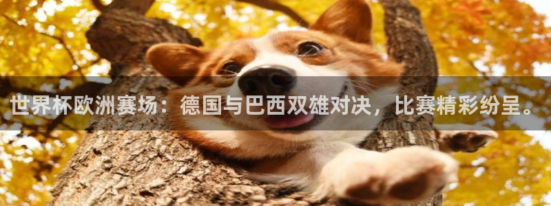 世预赛欧洲赛程表：世界杯欧洲赛场：德国与巴西双雄对决，比赛精彩纷呈。