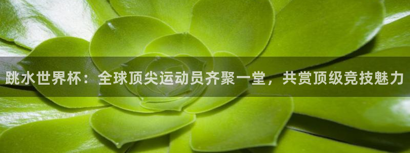 2026世界杯中国队：跳水世界杯：全球顶尖运动员齐聚一堂，共赏顶级竞技魅力