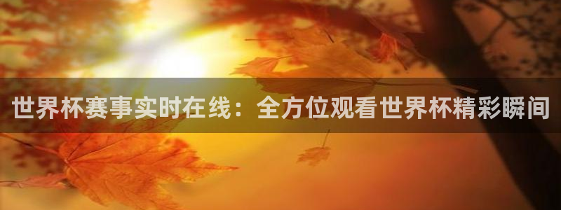 世界杯预选赛亚洲区积分榜：世界杯赛事实时在线：全方位观看世界杯精彩瞬间
