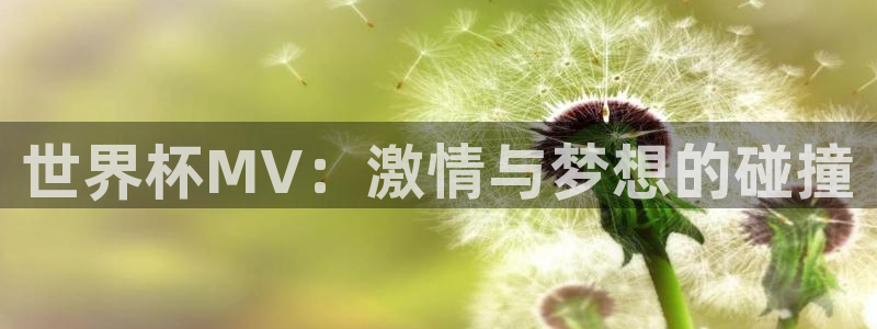 2026 世界杯：世界杯MV：激情与梦想的碰撞