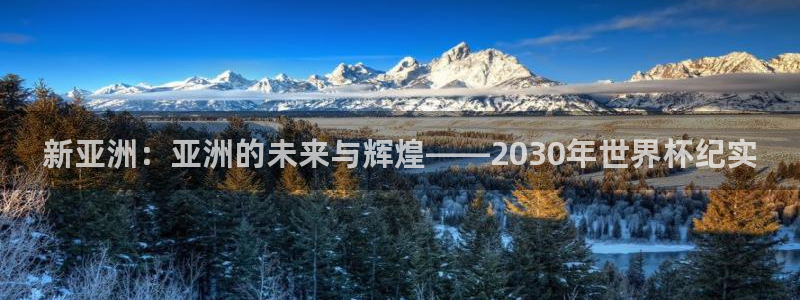 足球世预赛：新亚洲：亚洲的未来与辉煌——2030年世界杯纪实
