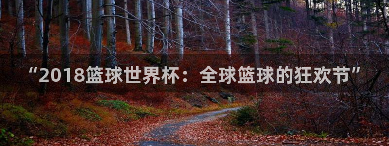 英格兰联赛杯直播：“2018篮球世界杯：全球篮球的狂欢节”