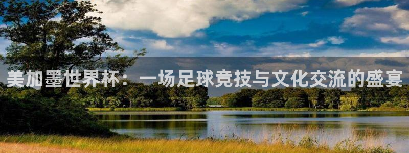 世界杯女足直播：美加墨世界杯：一场足球竞技与文化交流的盛宴