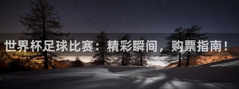 世界杯 直播：世界杯足球比赛：精彩瞬间，购票指南！