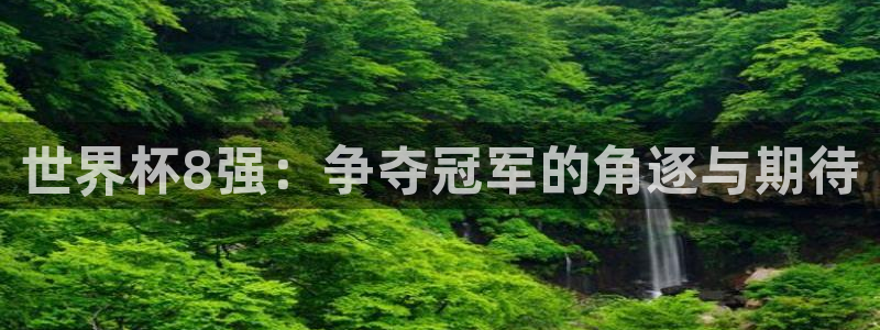 世界杯亚洲区预选赛赛程：世界杯8强：争夺冠军的角逐与期待