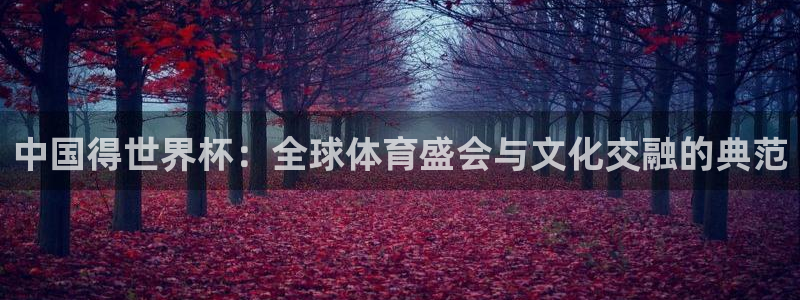 预选赛世界杯：中国得世界杯：全球体育盛会与文化交融的典范