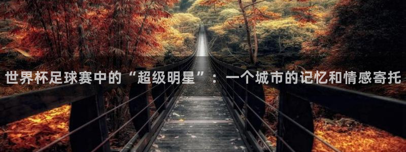 世界杯今年：世界杯足球赛中的“超级明星”：一个城市的记忆和情感寄托