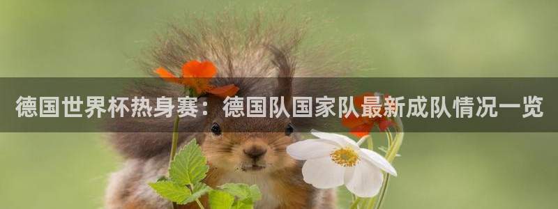 足球世界杯时间：德国世界杯热身赛：德国队国家队最新成队情况一览