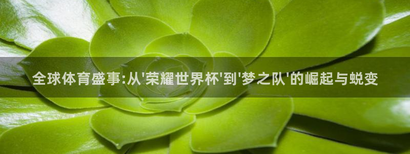 世界杯 中国：全球体育盛事:从\'荣耀世界杯\'到\'梦之队\'的崛起与蜕变