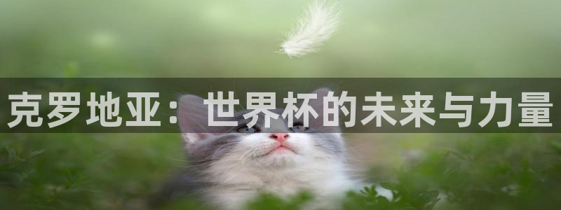 世界杯预选赛2026：克罗地亚：世界杯的未来与力量