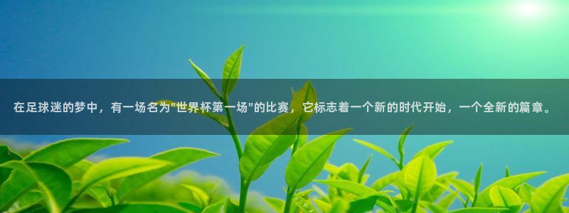 联赛杯直播：在足球迷的梦中，有一场名为\