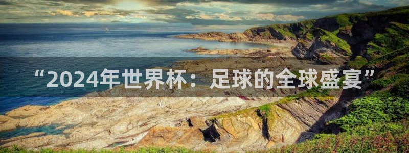 世界杯系列赛：“2024年世界杯：足球的全球盛宴”