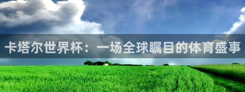 世界杯足球比赛：卡塔尔世界杯：一场全球瞩目的体育盛事